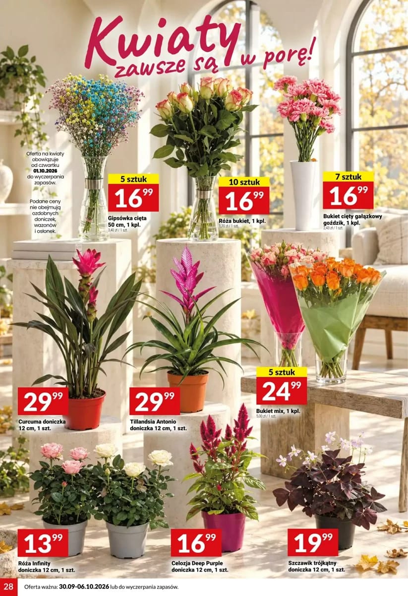 Gazetka Twój Market, strona 28 z 43