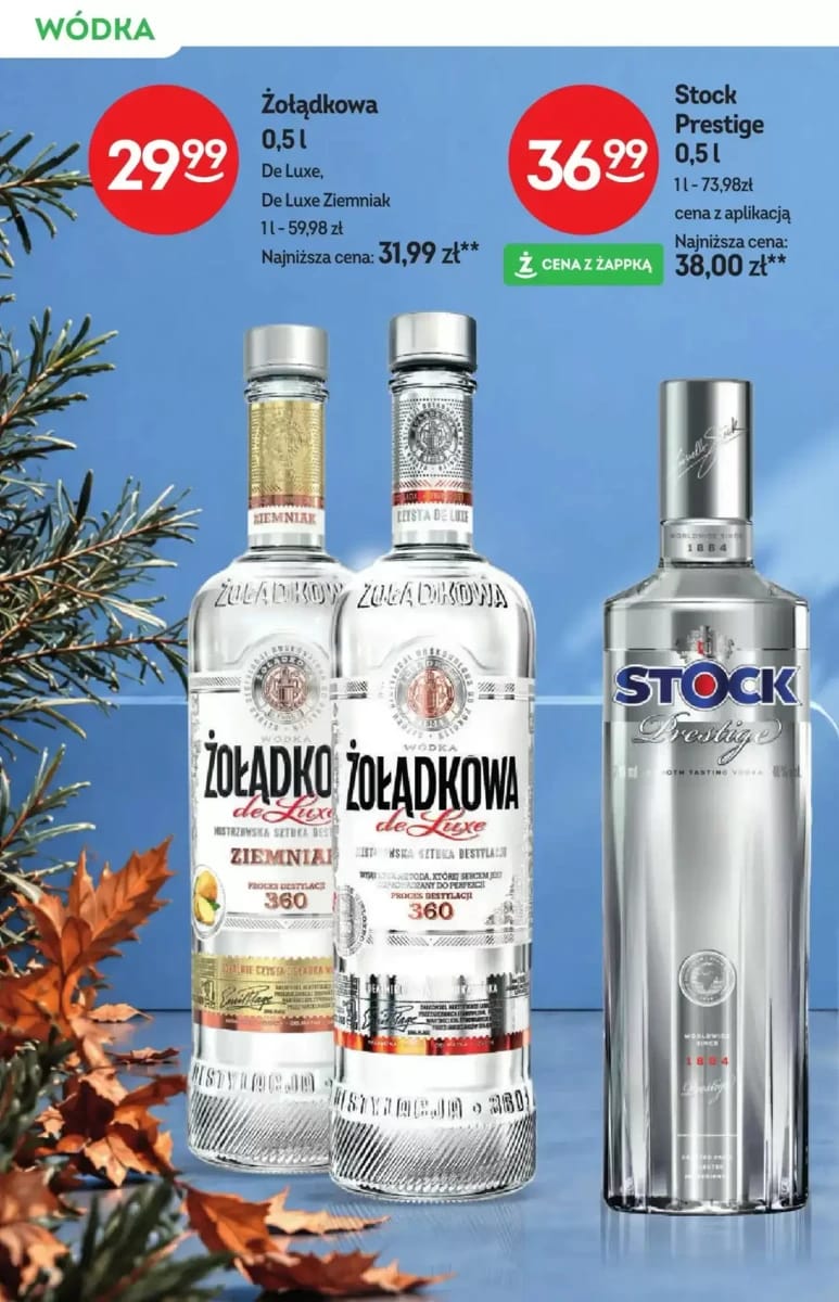 Gazetka Żabka, strona 6 z 24