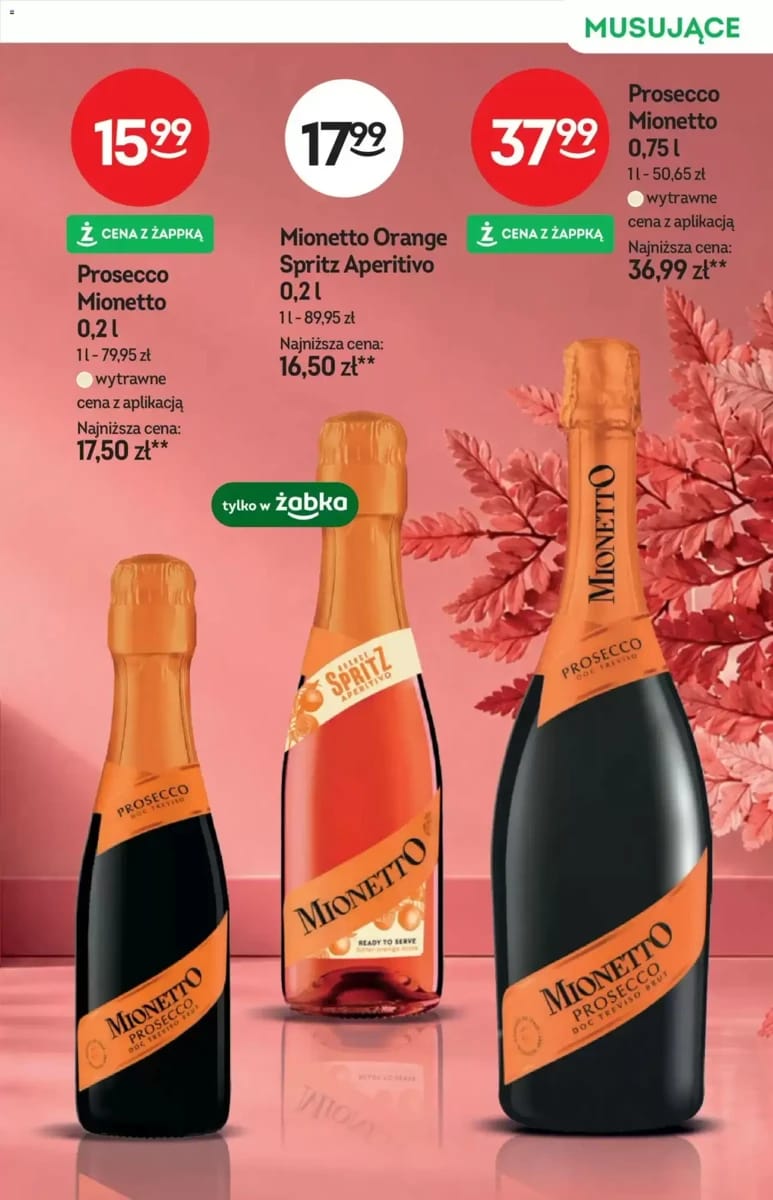 Gazetka Żabka, strona 19 z 24